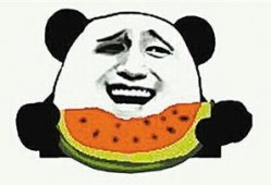 吃瓜群众怎么放手机上看,轻松放手机，畅享视听盛宴