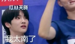 周震南吃瓜群众,揭秘娱乐圈幕后风云