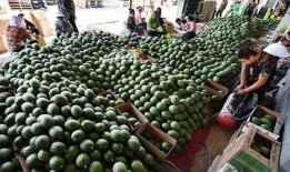 亳州吃瓜群众禁忌事件最新,揭秘那些不可不知的社交雷区