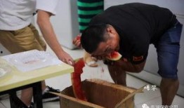 吃瓜群众盛宴,揭秘娱乐圈幕后风云