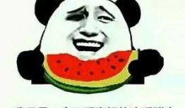 吃瓜群众的口碑如何评论