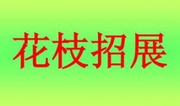 你来比划我来猜吃瓜群众,吃瓜群众欢乐互动游戏