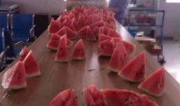 外卖员做吃瓜群众,揭秘街头巷尾的趣味故事