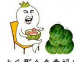 一个快乐的吃瓜群众,一位快乐吃瓜群众的欢乐日常