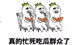 类似吃瓜群众自我修养,吃瓜群众的自我修养指南