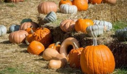 一个吃瓜群众代号是什么,揭秘网络时代的旁观者心态