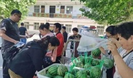 蟠桃街的吃瓜群众,吃瓜群众的欢乐盛宴