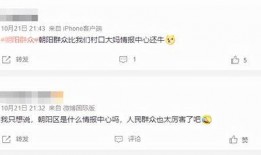 朝阳区吃瓜群众网址,揭秘京城热点事件背后的故事