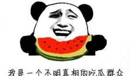 正义吃瓜的群众,揭秘网络舆论场中的正义力量