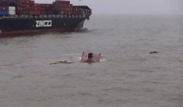 浙岱渔船吃瓜群众,吃瓜群众的海洋生活画卷