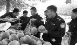 走马村吃瓜群众事件始末,一场网络舆论的风暴与反思