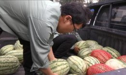 吃瓜群众最幸福的话语,吃瓜群众最幸福的瞬间