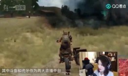 斗鱼龙之队吃瓜群众