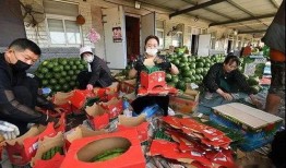 吃瓜群众观看者图片大全,捕捉全民娱乐瞬间