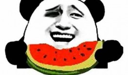 吃瓜群众微笑袋鼠不看,揭秘“吃瓜群众微笑袋鼠不看”背后的故事