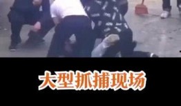 吃瓜群众看凶案现场,吃瓜群众视角下的凶案现场揭秘