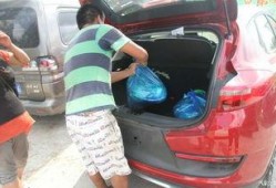 吃瓜群众提车视频