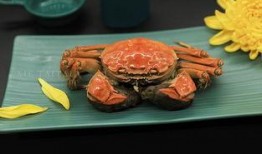 成为吃瓜群众大闸蟹的小说,一场美食与江湖的跨界传奇