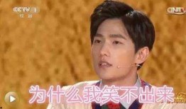 爱看剧的吃瓜群众是谁,娱乐圈幕后风云追踪者