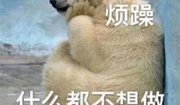 暴漫吃瓜群众图片大全,暴漫吃瓜群众图片大全，带你领略网络幽默魅力