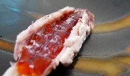 吃瓜群众的虾视频大全最新