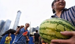 朝阳人民群众吃瓜,揭秘人民群众的“吃瓜”生活