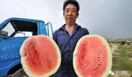 吃瓜群众都在找哪里,吃瓜群众热议的神秘生成地大揭秘！