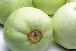 吃瓜群众小甜瓜150,揭秘吃瓜群众的甜蜜生活