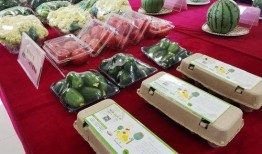 专业吃瓜群众吃遍天下,遍尝天下美食，揭秘人间美味