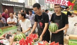 吃瓜网官网朝阳群众,吃瓜网官网揭秘京城百姓生活点滴