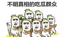 小花仙吃瓜群众视频大全,揭秘热门视频背后的趣味故事