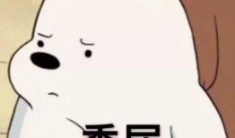 吃瓜群众兔子动漫表情,吃瓜群众的欢乐源泉