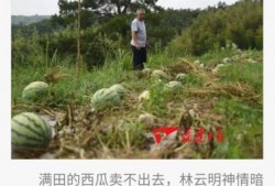 感恩吃瓜的群众,见证时代变迁的民间力量