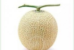 吃瓜群众个性头像图片,揭秘吃瓜群众个性头像背后的故事