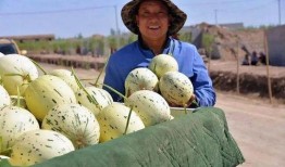 暗区突围吃瓜群众爱吃瓜,吃瓜群众热捧，瓜香四溢的电竞盛宴