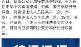 朝阳区吃瓜群众网址,揭秘京城热点事件背后的故事