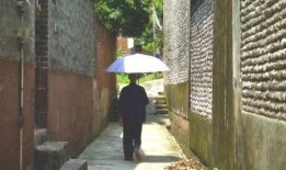 河北石家庄吃瓜群众事件,网络舆论的风暴与反思