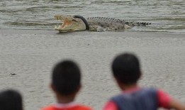 群众开船在台海吃瓜,群众开船“吃瓜”见证历史瞬间