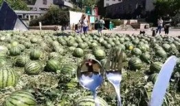 创意吃瓜群众,揭秘网络热点的幕后故事