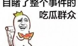 吃瓜群众多少人