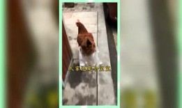 娱乐吃瓜群众群