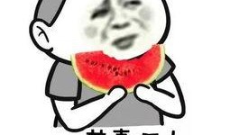 在末世当吃瓜群众txt,吃瓜群众的生存日常