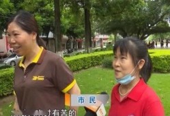 周娟吃瓜群众,吃瓜群众的视角，揭秘娱乐圈风云