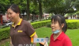 周娟吃瓜群众,吃瓜群众的视角，揭秘娱乐圈风云