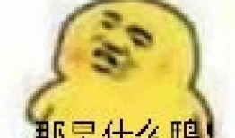 周围吃瓜群众照片真实,捕捉那些不经意间成为焦点的人物瞬间