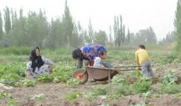 美丽风景线吃瓜群众,感受吃瓜群众的热情