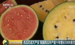 中国的吃瓜群众战斗力,揭秘中国网民的“瓜田效应”