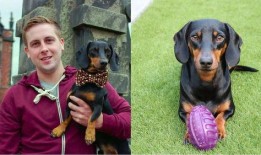 吃瓜群众小二狗是谁