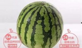 蟠桃街的吃瓜群众是什么