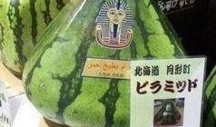 中国吃瓜群众发明了什么,揭秘民间奇思妙想